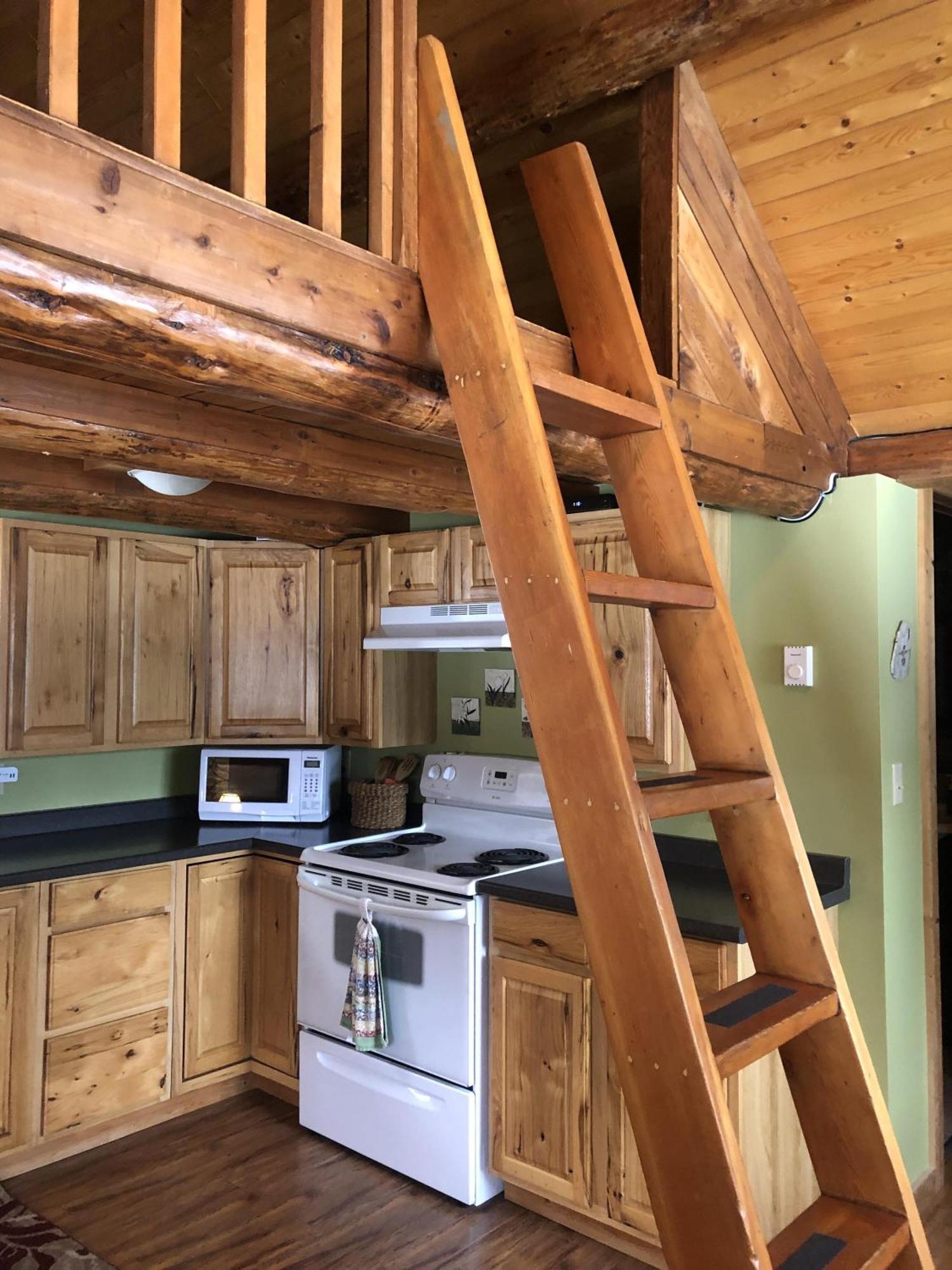 Morning Star Log Cabin Nelson Bagian luar foto