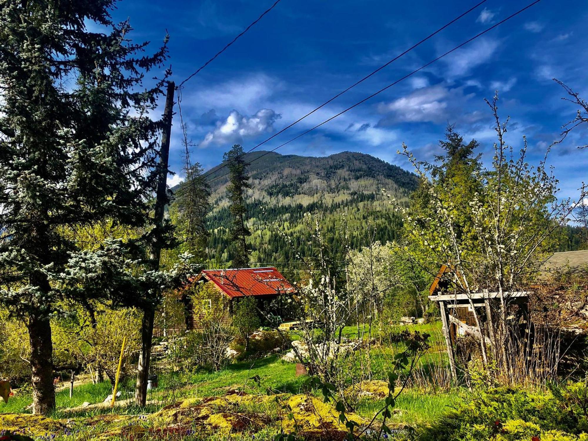 Morning Star Log Cabin Nelson Bagian luar foto