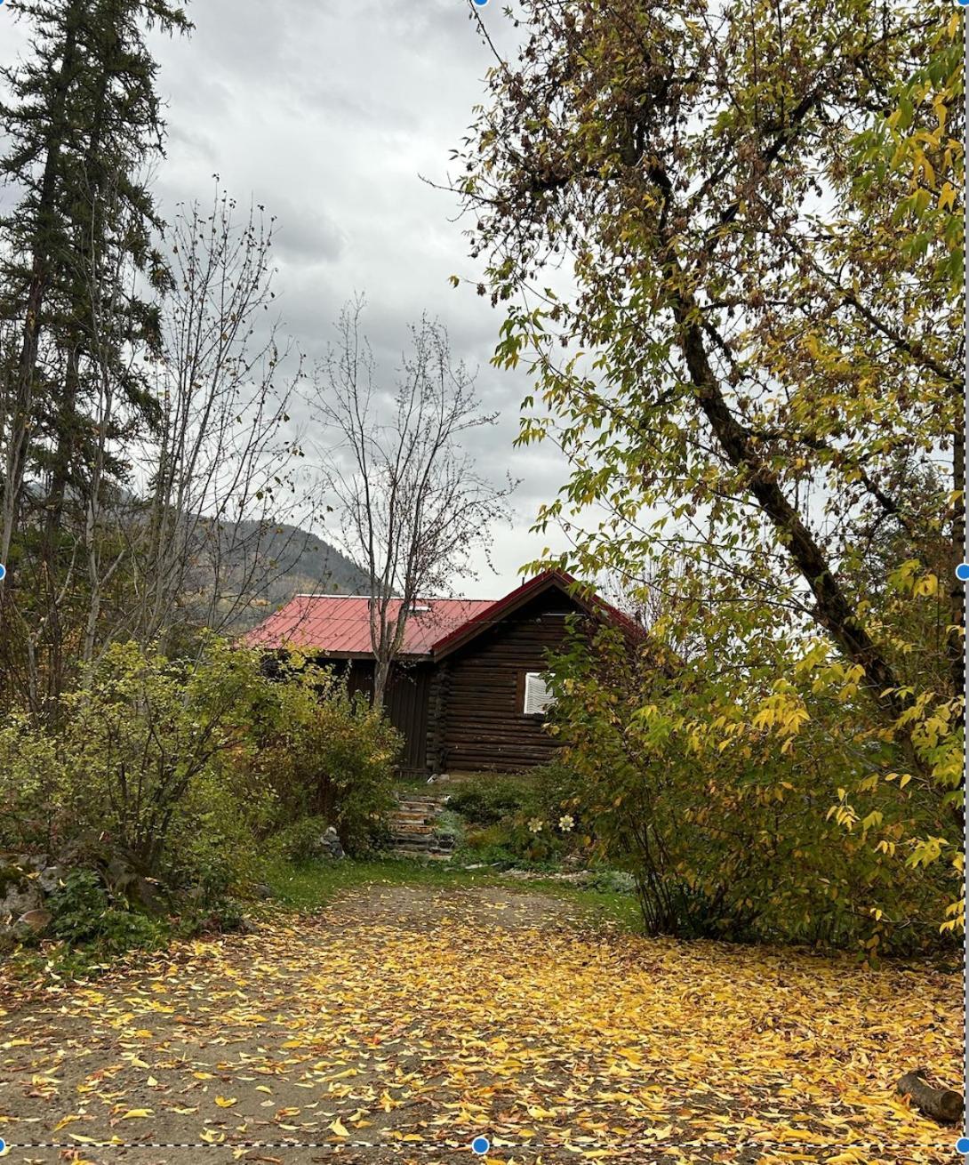 Morning Star Log Cabin Nelson Ruang foto