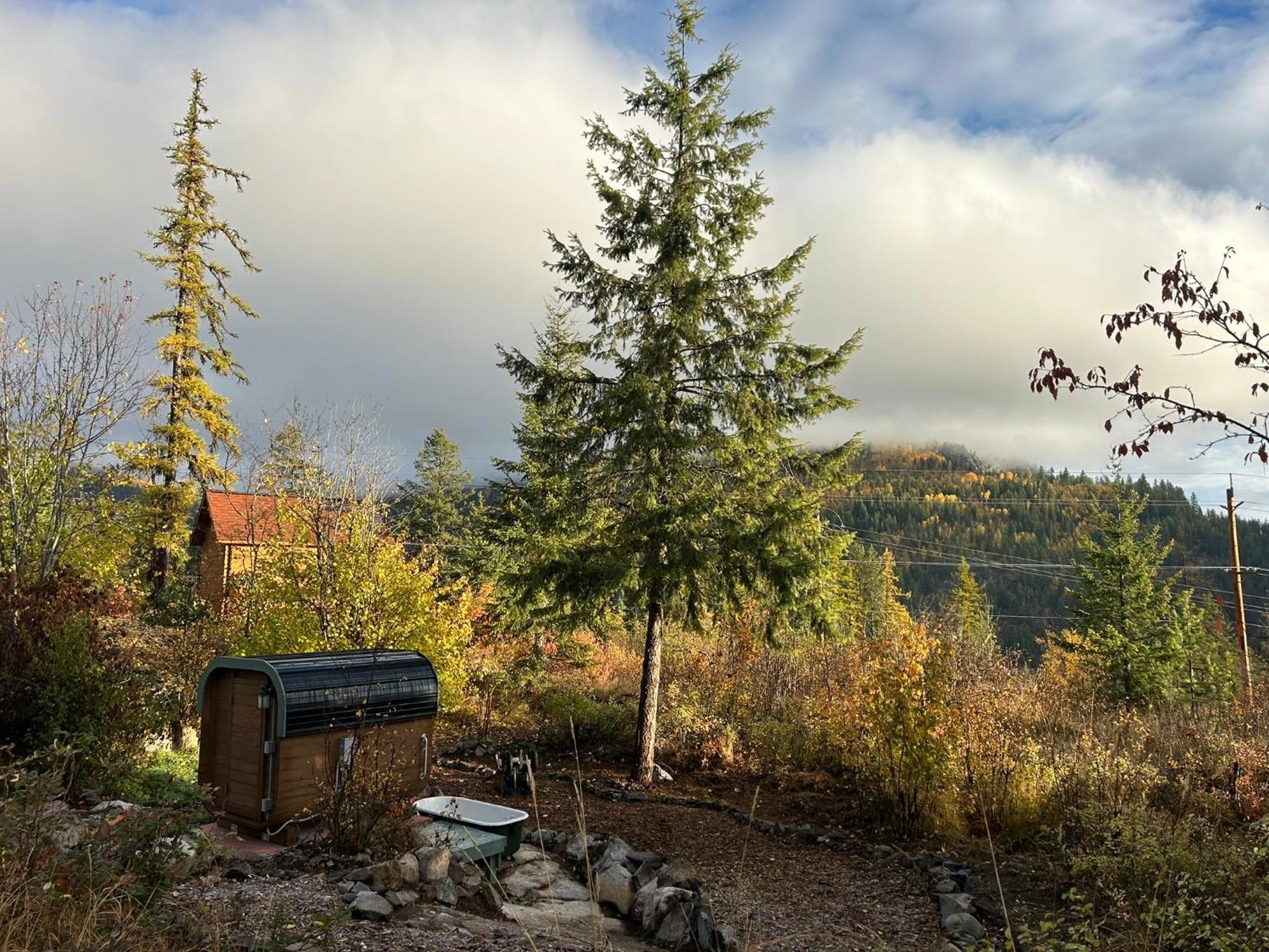 Morning Star Log Cabin Nelson Ruang foto